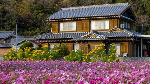 コスモス畑の奥に建つ瓦屋根の木造二階建て住宅